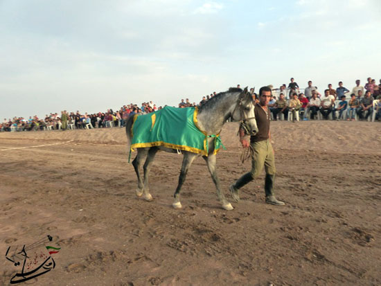 برگزاری مسابقات کورس سوارکاری بهاره ۹۳ در رفسنجان