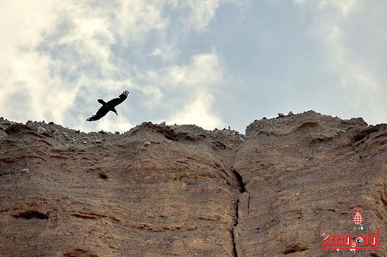 دره راگه  یکی از منحصربفرد ترین دره های کشور در رفسنجان-خانه خشتی.jpg (6)