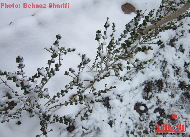 برف زمستانه در رفسنجان_خانه خشتی (۱)