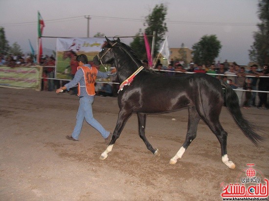 شو اسب سواره شهر صفائیه-رفسنجان-خانه خشتی (۱۸)