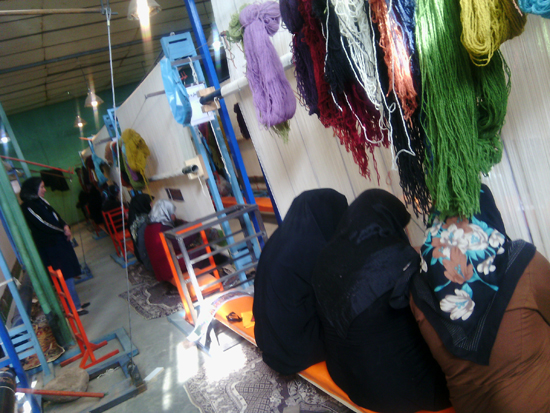 IMG_۲۰۱۵۱۱۲۴_۰۹۰۴۱۵۶