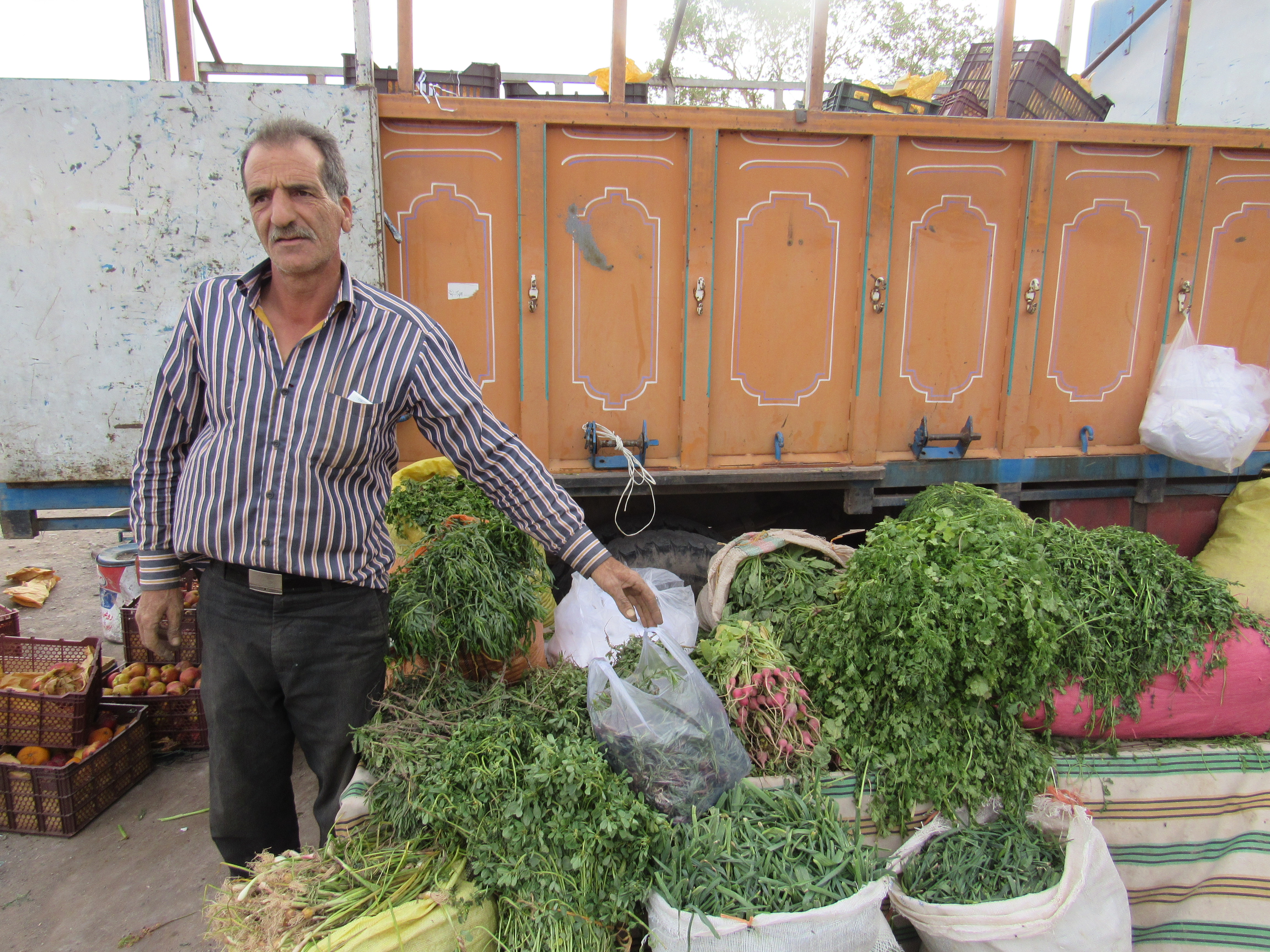 رفسنجان-خانه خشتی (۵)