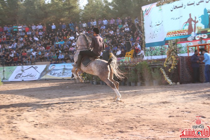 جشنواره زیبایی اسب در رفسنجان