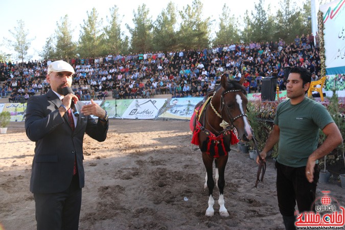 جشنواره زیبایی اسب در رفسنجان