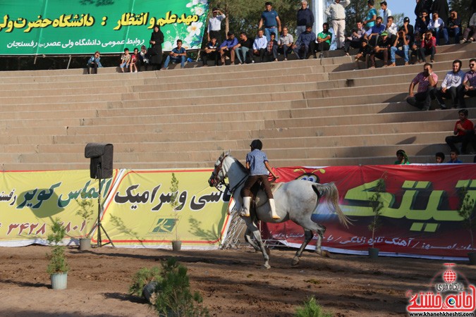 جشنواره زیبایی اسب در رفسنجان