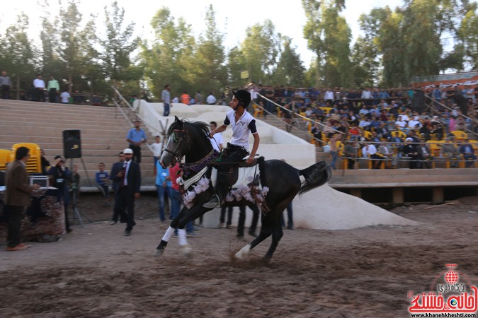 جشنواره زیبایی اسب در رفسنجان