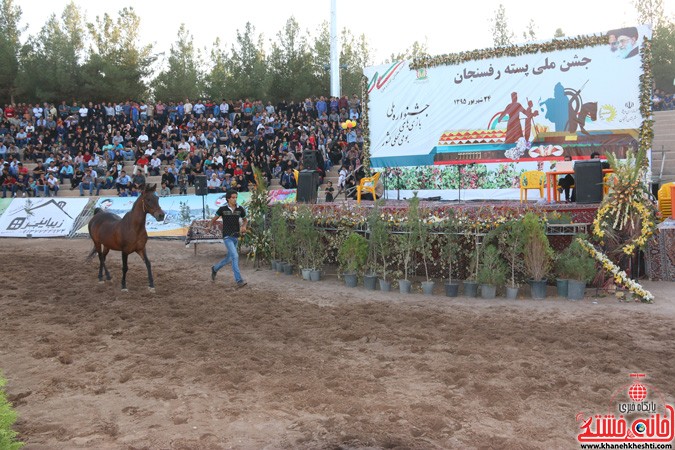 جشنواره زیبایی اسب در رفسنجان