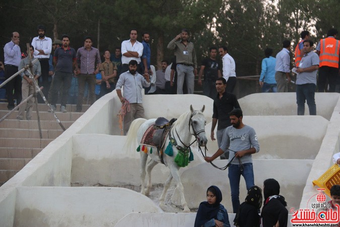 جشنواره زیبایی اسب در رفسنجان