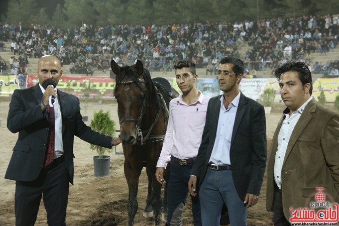 جشنواره زیبایی اسب در رفسنجان