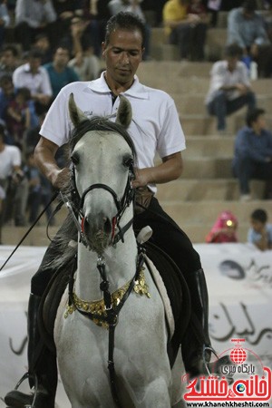 56 فرم عکس از اسب های زیبای رفسنجان