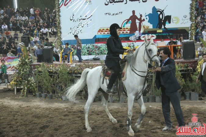 56 فرم عکس از اسب های زیبای رفسنجان
