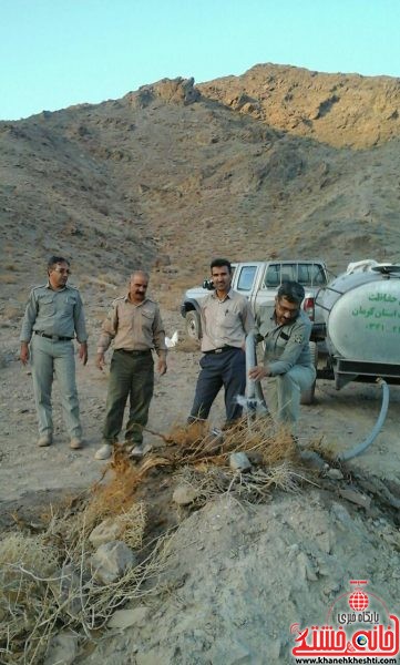 ساخت آبشخور,آبرسانی و تأمین علوفه و گندم جهت حیات وحش در حوزه استحفاظی شهرستان رفسنجان