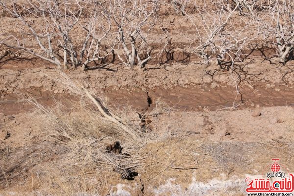 شکاف زمین بعد از بارندگی های اخیر در روستای ناصریه