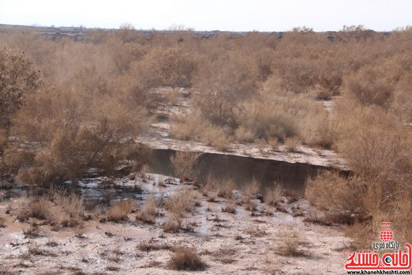 شکاف زمین بعد از بارندگی های اخیر در روستای ناصریه