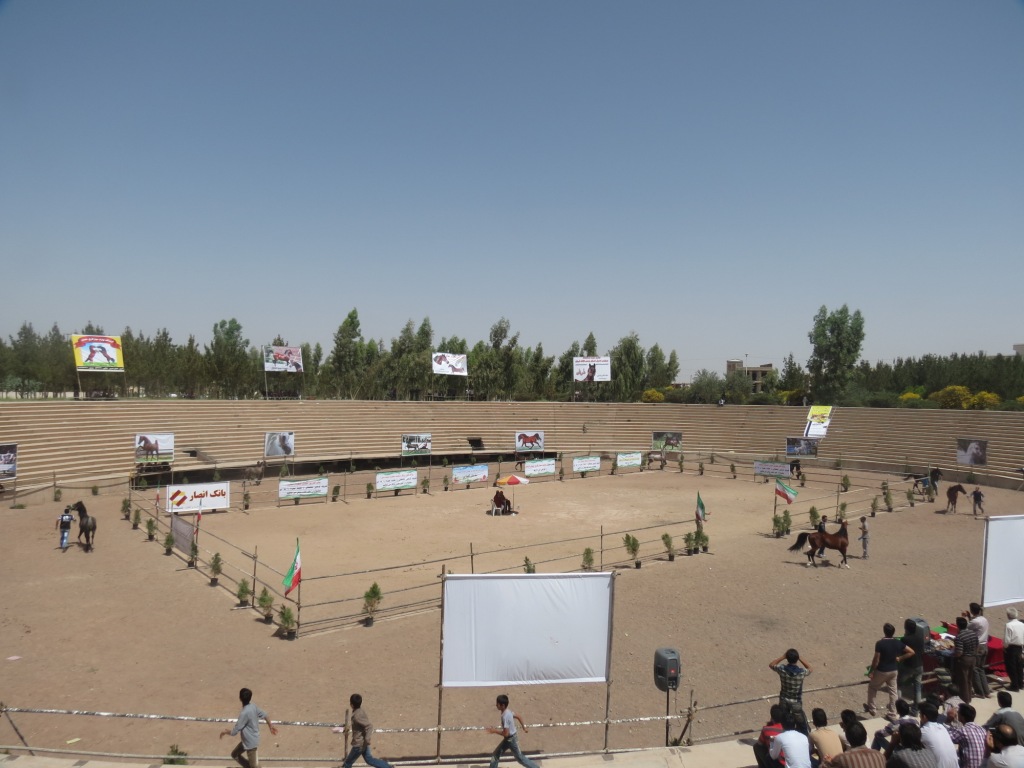 عکس/ مسابقات زیبایی اسب اصیل در رفسنجان
