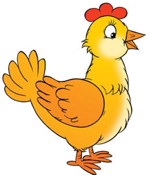 افزایش دیه و مهریه مرغها، عامل افزایش قیمت مرغ