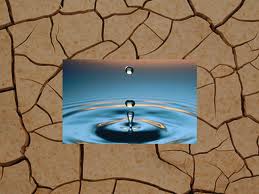 مهمترین مشکل در بخش کشاورزی رفسنجان بحث آب است