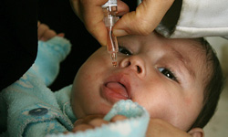 طرح واکسیناسیون فلج اطفال کودکان افاغنه و اتباع بیگانه در رفسنجان و انار انجام شد.