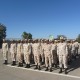 صبحگاه مشترک نیروهای مسلح شهرستان رفسنجان