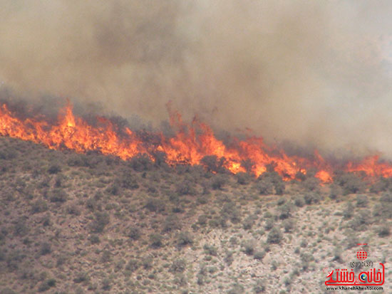 آتش سوزی ۲۰۰ هکتار پوشش گیاهی در راویز رفسنجان بر اثر بی احتیاطی + تصاویر
