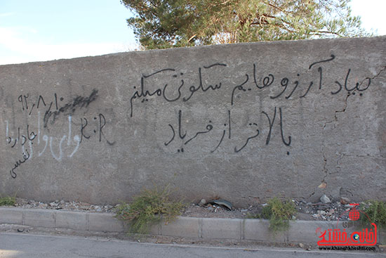گزارش تصویری/ یادگاری های دیواری رفسنجان