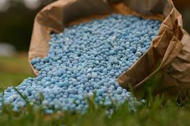 توزیع ۴ هزار و ۱۰۷ تن انواع کود شیمیایی برای مصارف کشاورزی در رفسنجان
