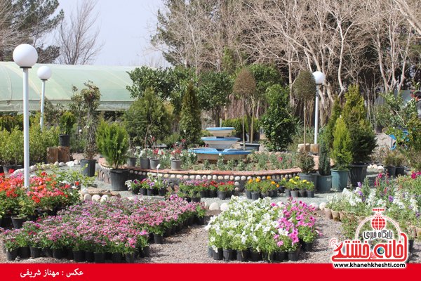 برپایی نمایشگاه گل و گیاه در نهالستان شهرداری
