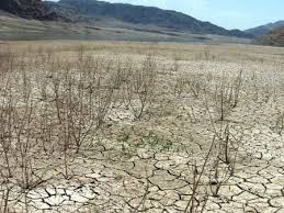 رفسنجان بحرانی‌ترین دشت آب کرمان را دارد