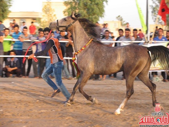 دوربین خانه خشتی در اولین شو اسب سواره اصیل فلات ایران در شهر صفائیه