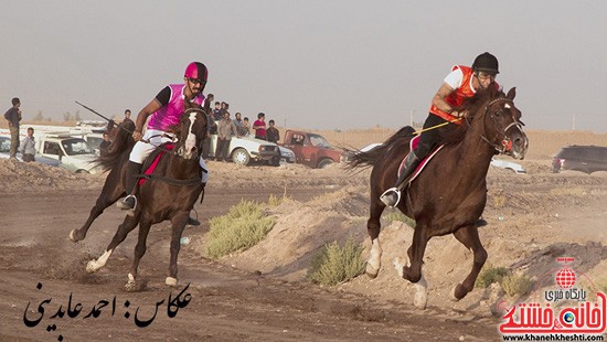 مسابقه اسب دوانی کورس پاییزه در رفسنجان برگزار شد/ تصاویر(۲)