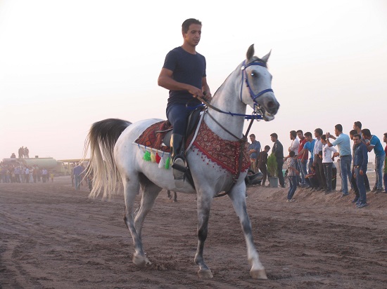 مسابقه اسب دوانی کورس پاییزه در قاسم آباد رفسنجان برگزار شد/ تصاویر