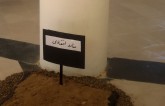 تصاویر /  افتتاحیه نمایشگاه یادبود به خاک سپاری مبارزه با مفاسد اقتصادی