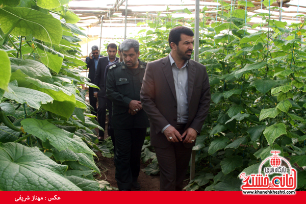 دو طرح کشاورزی در روستای ناصریه رفسنجان به بهره‌برداری رسید+عکس
