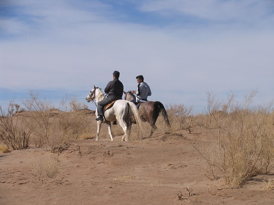 همایش سوارکاری در روستای رضاآباد رفسنجان برگزار شد/تصاویر