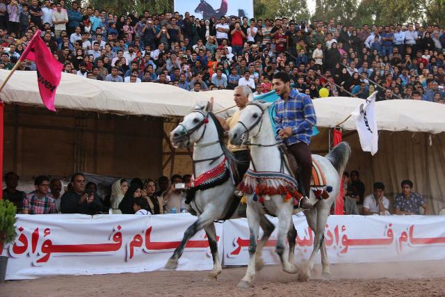 تصاویر پایان کار شو سواره اصیل اسبان بومی فلات ایران در رفسنجان