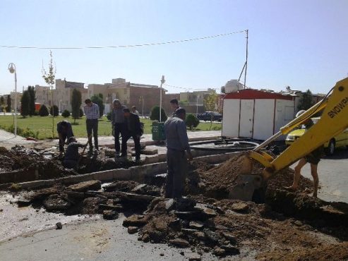 سازمان پارک ها و فضای سبز شهرداری رفسنجان پیشگام در مقابله با بحران کمبود آب