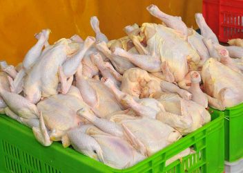رفسنجان در تولید گوشت مرغ رتبه اول استان را دارد