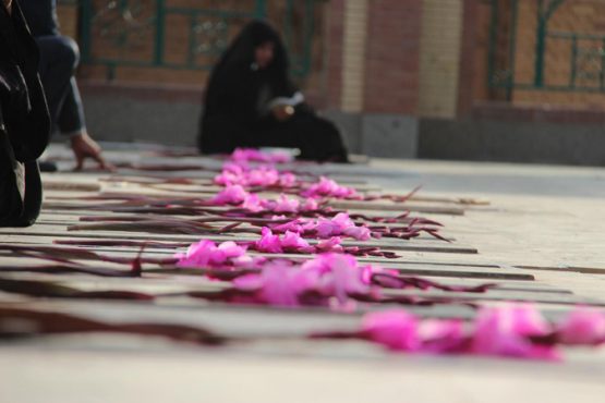 گلباران قبور شهدای رفسنجان به مناسبت هفته تعاون