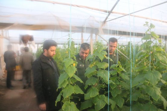 بازدید جانشین سپاه رفسنجان از طرح های اقتصاد مقاومتی روستای ناصریه/تصاویر