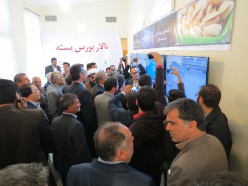 تالار تخصصی معاملات پسته در رفسنجان راه اندازی شد / عکس