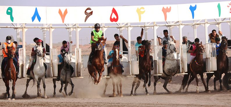 مسابقه اسب دوانی کورس زمستانه ۹۵ در رفسنجان برگزار شد/تصاویر + نتایج