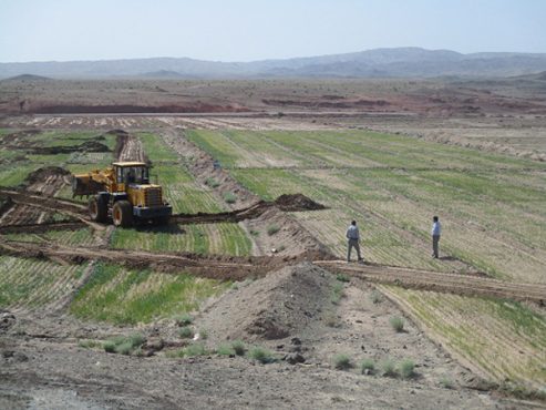 رفع تصرف ۶ هکتار از اراضی ملی مزرعه ده چمران