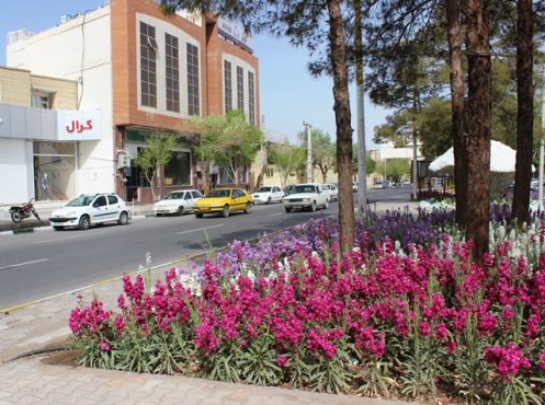 کاشت بیش از ۳ میلیون نشاء انواع گل در شهر رفسنجان