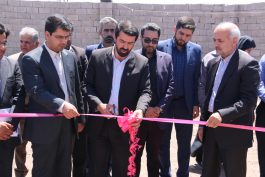 افتتاح طرح پرورش ماهی آب گرم و آب سرد در شهر رفسنجان / عکس