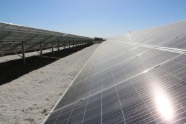 افتتاح نیروگاه خورشیدی با ظرفیت ۱.۲ مگاوات در رفسنجان / عکس