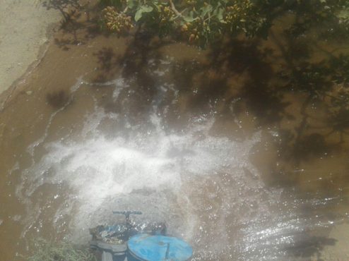 گله مندی از وضعیت وخیم آب در منطقه نوق رفسنجان / شوری آب زندگی را بر مردم تلخ کرده است