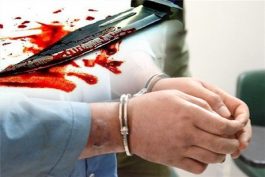 نزاع منجر به قتل در مهمانشهر رفسنجان