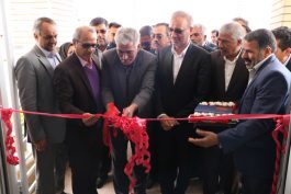 افتتاح دو مرکز خدمات جامع سلامت در رفسنجان به مناسبت دهه فجر / تصاویر