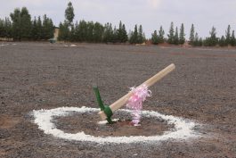 بزرگترین کارخانه تولید خوراک دام جنوب شرق کشور در رفسنجان کلنگ زنی شد + تصاویر