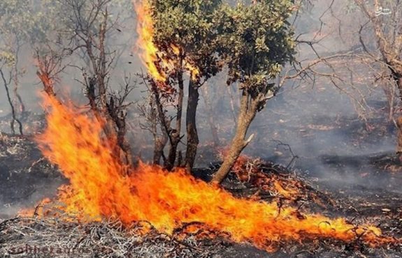 نابودی ۱۳ هکتار از عرصه‌های منابع طبیعی رفسنجان در اثر آتش‌سوزی